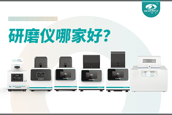研磨仪哪家好？宁波pg赏金女王生物研磨仪厂家专注样品处理
