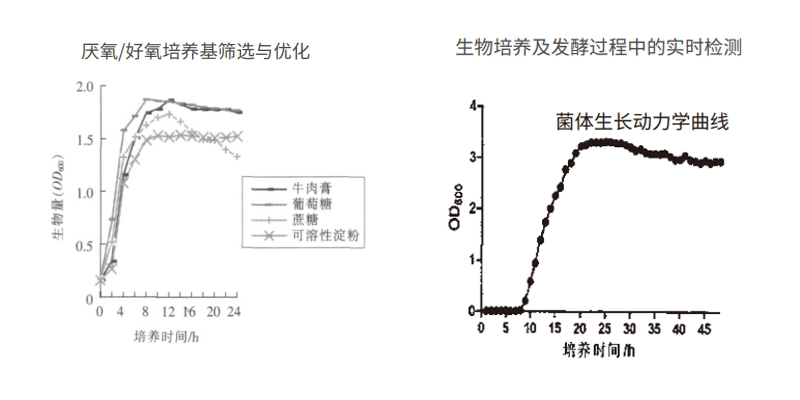过程安全，结果精准